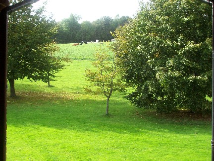 Img 20